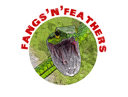Fangs ‘N’ Feathers Logo