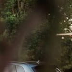 THE MOB PIZZA & BAR Logo