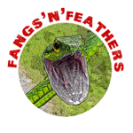 Fangs ‘N’ Feathers Logo