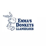 Emma’s donkeys Llanidloes Logo