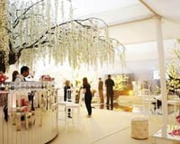 Pearl Tent Luxury Bar & Dance Floor