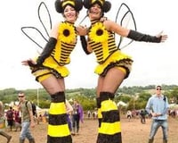 Bumble Bees!