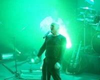 STILL COLLINS on STAGE