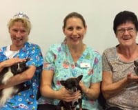 Sessions in hospitals