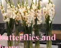 pale pink tall vases