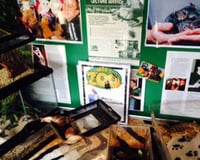 Some Our Reptiles at an Event