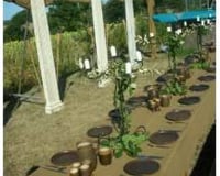 Ancient Greece themed party