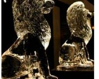 Lions to make a grand entrance