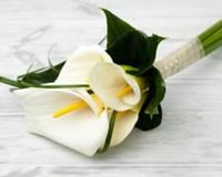 Calla lily bouquet