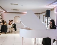 Performing during a wedding breakfast at Froyle Park