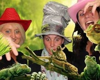 Green Screen Photo Booth Hire