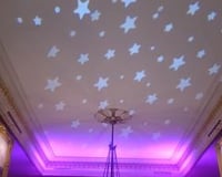 Ceiling Projection at Goodwood House, Chichester