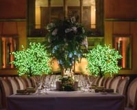 Cowdray House with our new uplighters and Pin Spots 5th April 2018 3