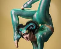 Circus Acts - Acrobats, Aerial Acts, Contortionists, Fire Eaters, Hoop Dancers, Jugglers and more.