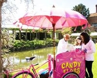Candy Floss Trike / Cart Hire service from Love Candy Floss