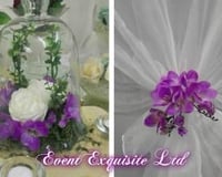 1486062_965340480214922_2509574977191728433_o