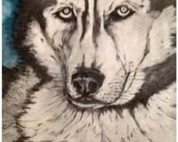 PicturesLab_AutoAdjust_FX_2017-03-23_11-37-11