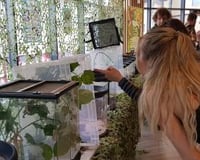 Bugfest at Bournemouth Uni 2019