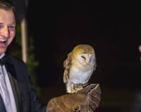 Christmas Chippa Events 74