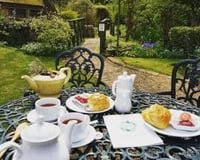Cream Teas in the garden 
