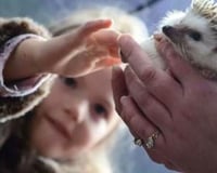 Great for childrens parties