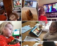 ZOOm, virtual animal encounters now available!