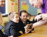 Bring learning to life!