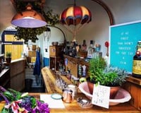 43003374_351880398881238_7755963191359700992_o