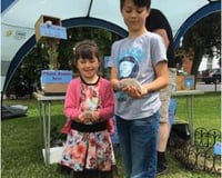 cute little hedgehogs!