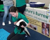 84269546_599812100594351_3103760624715300864_o