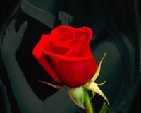 From the heart logo (portrait)