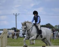 white-horse-jumping-child-white