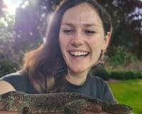 Mossy gecko with guest.