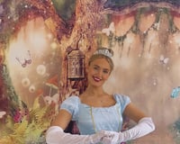 The Glass Slipper Princess.jpeg