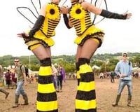 Bumble Bees!