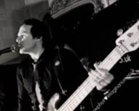 angus black and white