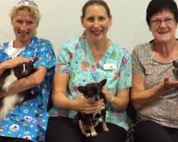 Sessions in hospitals