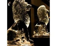 Lions to make a grand entrance