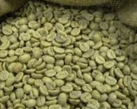 ... to Extract the Green Coffee Beans.