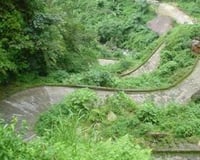 The Sacks of Coffee Come Down the Mountains ...