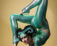 Circus Acts - Acrobats, Aerial Acts, Contortionists, Fire Eaters, Hoop Dancers, Jugglers and more.