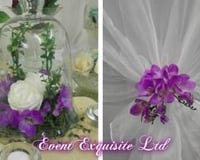 1486062_965340480214922_2509574977191728433_o