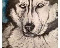 PicturesLab_AutoAdjust_FX_2017-03-23_11-37-11