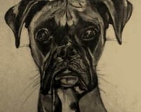 PicturesLab_Sepia_FX_2017-02-25_23-26-06