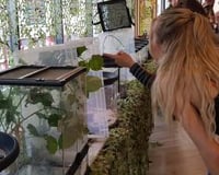 Bugfest at Bournemouth Uni 2019