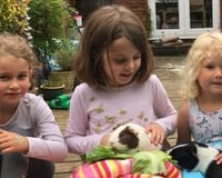 Feeding Apple and Crumble the Guinea Pigs