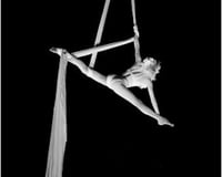  Aerialist 2