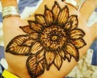 71498055_2435957673186814_7234701367334404096_o