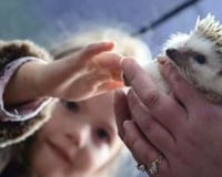 Great for childrens parties