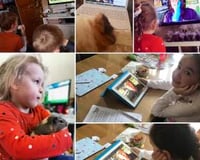 ZOOm, virtual animal encounters now available!